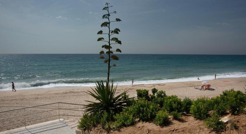 Apart. A-Dorada Miami Playa Apartment Bagian luar foto